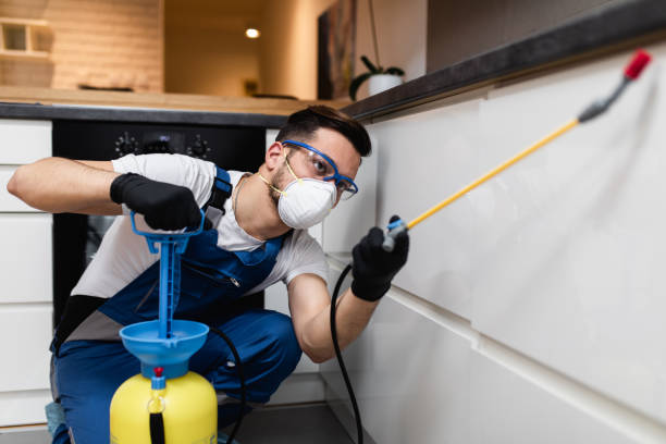 Wasp Removal Services in Millbourne, PA