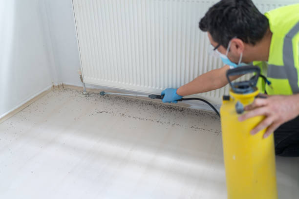 Best Affordable Exterminators  in Millbourne, PA