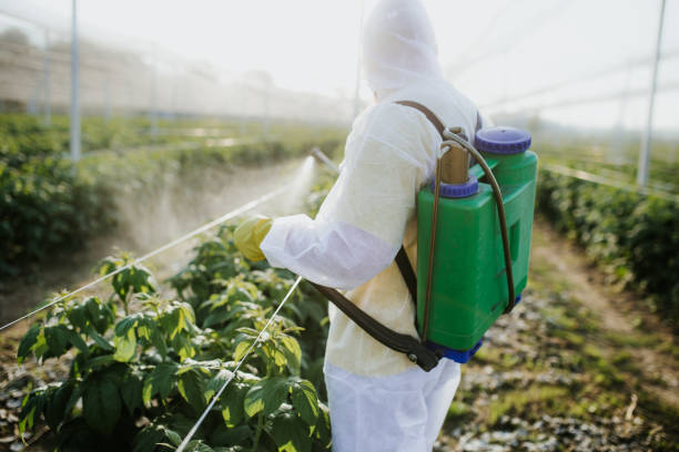 Best Pest Control Near Me in Millbourne, PA
